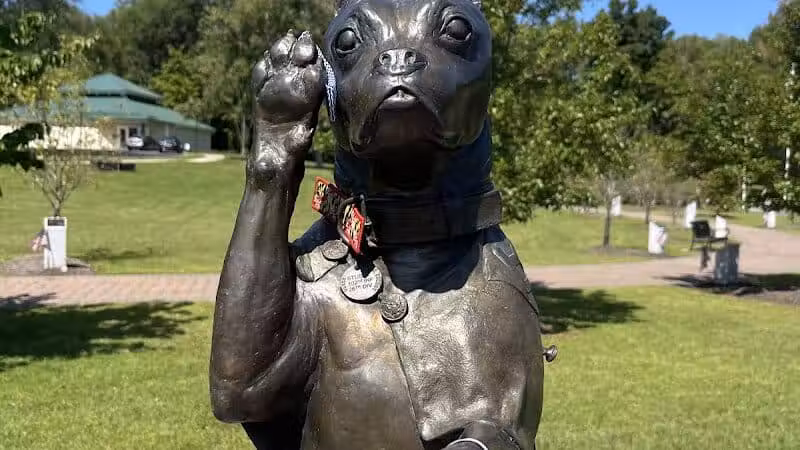 Sergeant Stubby Statue - Middletown, CT