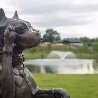 Sergeant Stubby Statue - Middletown, CT