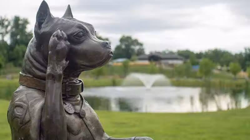 Sergeant Stubby Statue - Middletown, CT
