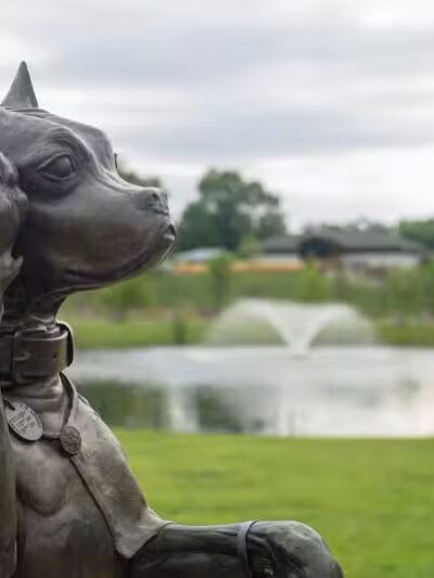 Sergeant Stubby Statue - Middletown, CT