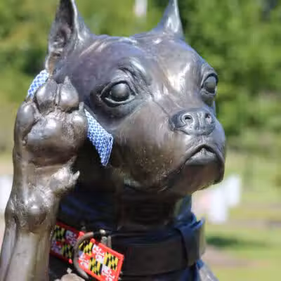 Sergeant Stubby Statue - Middletown, CT