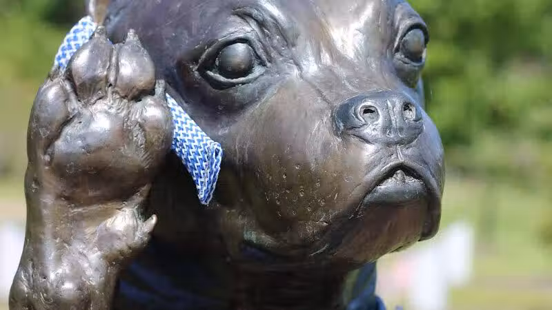 Sergeant Stubby Statue - Middletown, CT