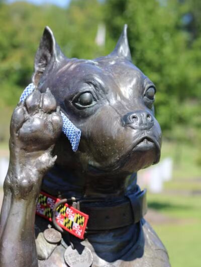 Sergeant Stubby Statue - Middletown, CT