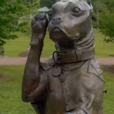 Sergeant Stubby Statue - Middletown, CT