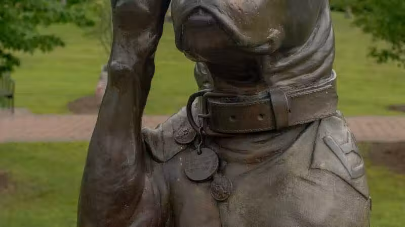 Sergeant Stubby Statue - Middletown, CT