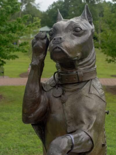 Sergeant Stubby Statue - Middletown, CT