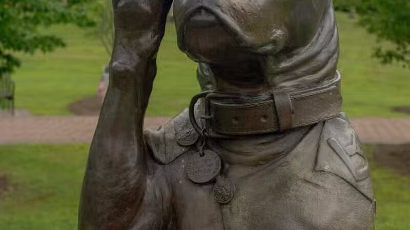 Sergeant Stubby Statue - Middletown, CT
