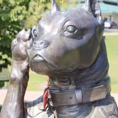 Sergeant Stubby Statue - Middletown, CT