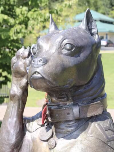 Sergeant Stubby Statue - Middletown, CT