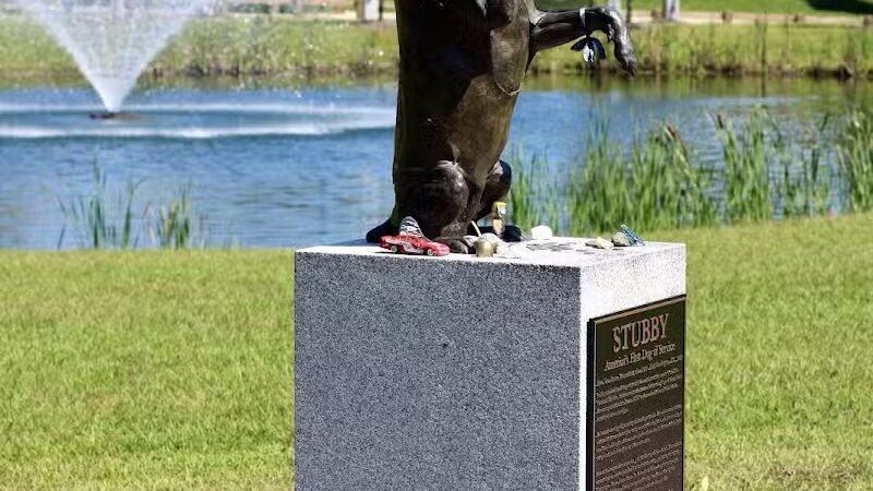 Sergeant Stubby Statue - Middletown, CT