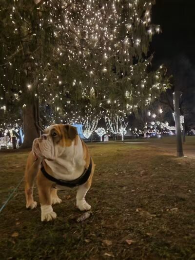 Soldiers Monument - Middletown, CT