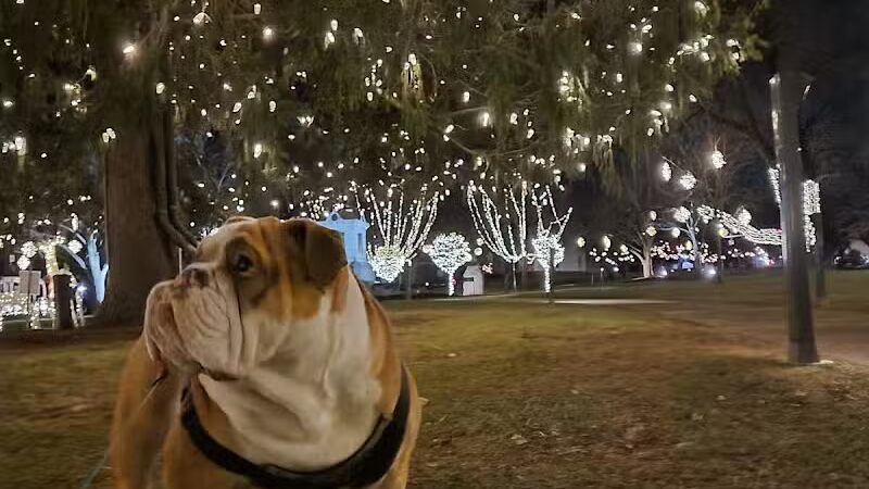 Soldiers Monument - Middletown, CT