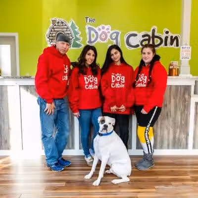 The Dog Cabin LLC - Middletown, CT