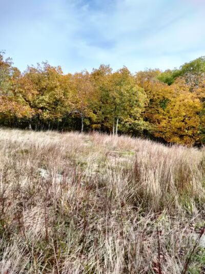 Tynan Memorial Park - Middletown, CT