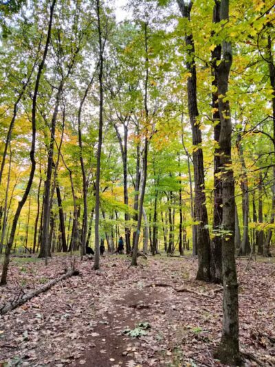 Tynan Memorial Park - Middletown, CT