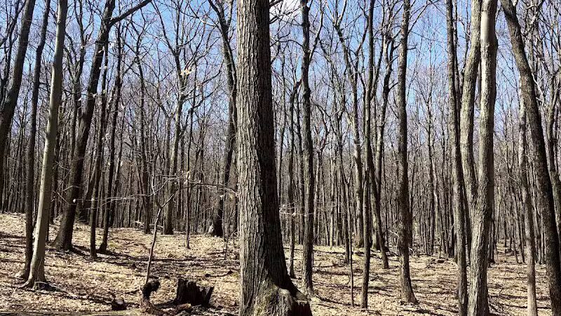 Tynan Memorial Park - Middletown, CT