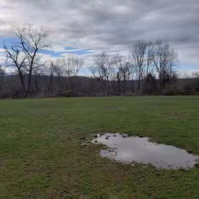 Tynan Memorial Park - Middletown, CT