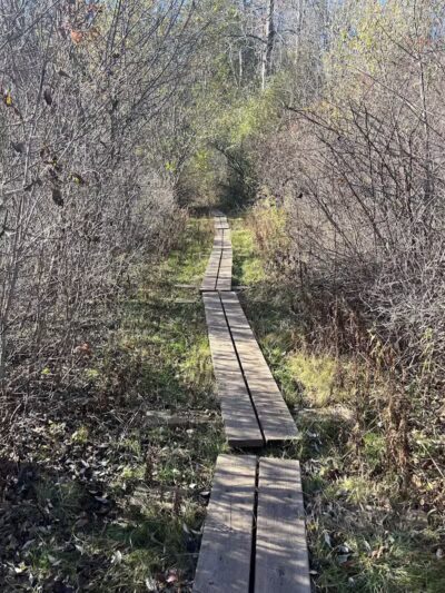 Tynan Memorial Park - Middletown, CT