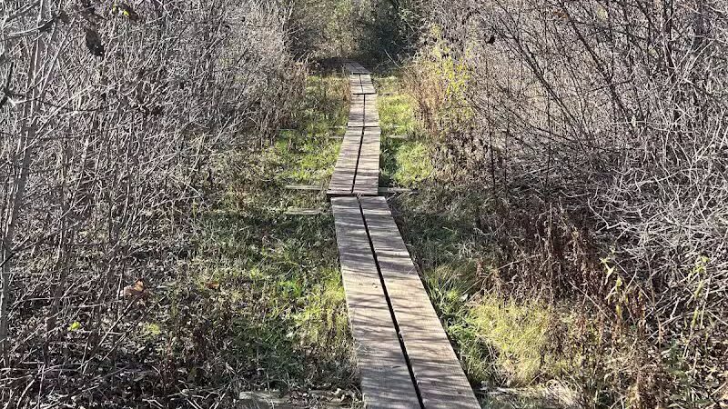 Tynan Memorial Park - Middletown, CT