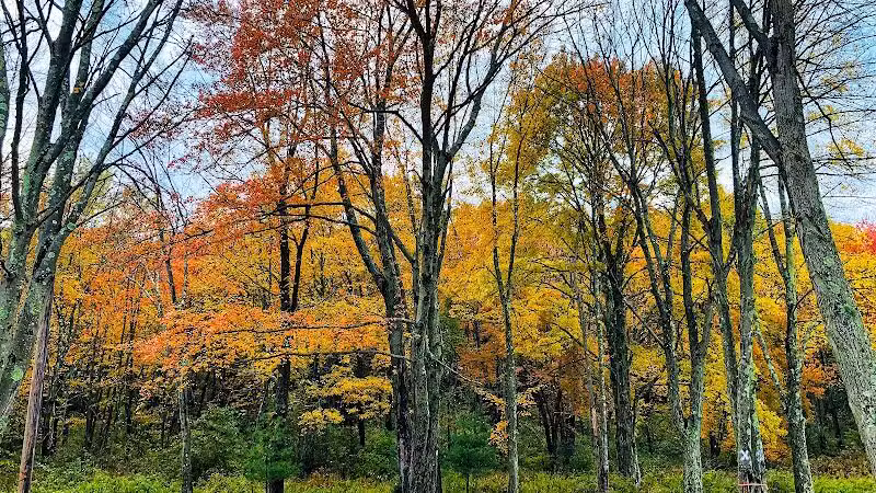 Veterans Memorial Park - Middletown, CT