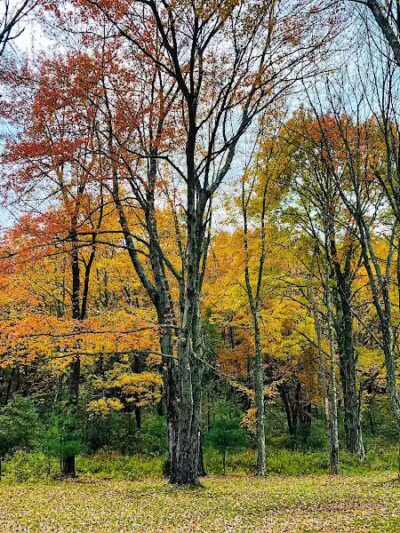 Veterans Memorial Park - Middletown, CT