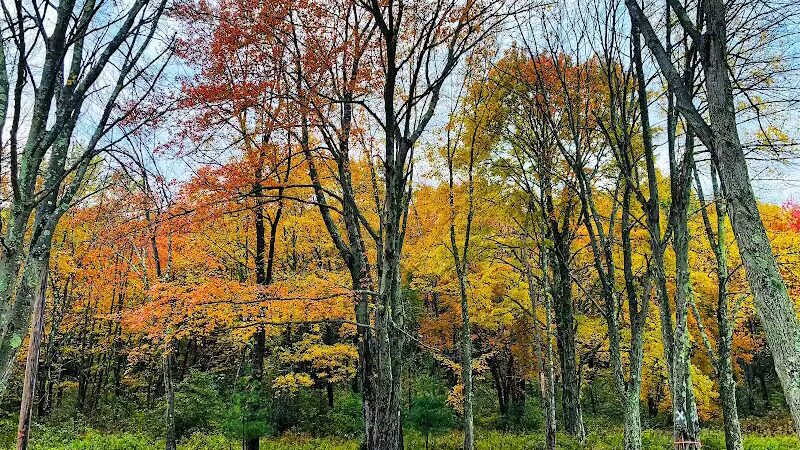 Veterans Memorial Park - Middletown, CT