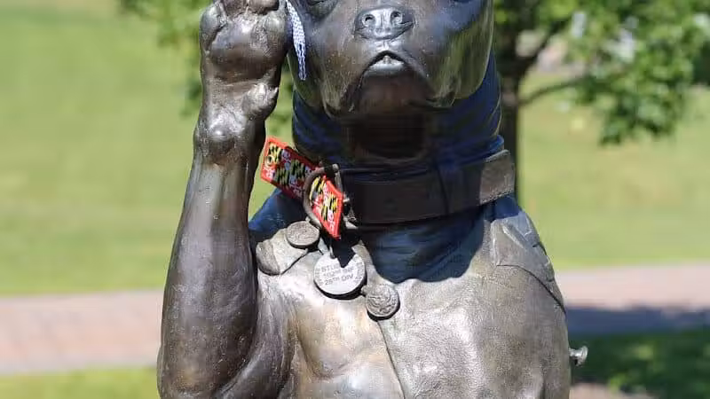 Veterans Memorial Park - Middletown, CT