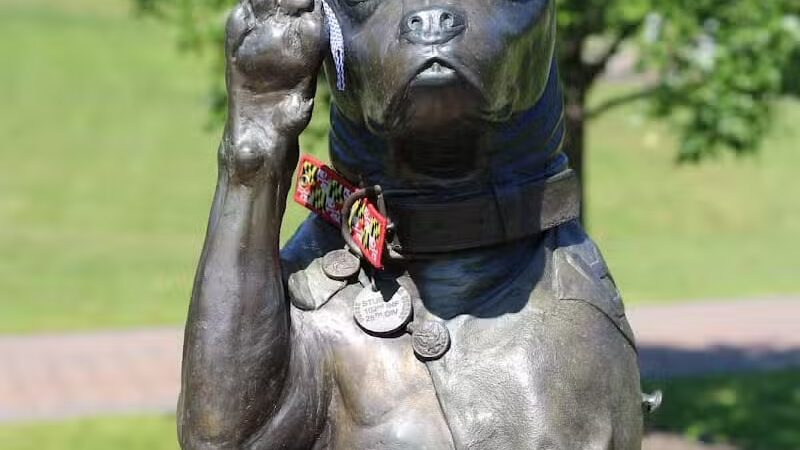 Veterans Memorial Park - Middletown, CT