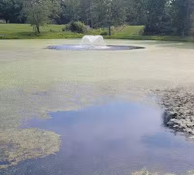 Maple Hill Park - Middletown, NY