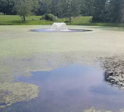 Maple Hill Park - Middletown, NY