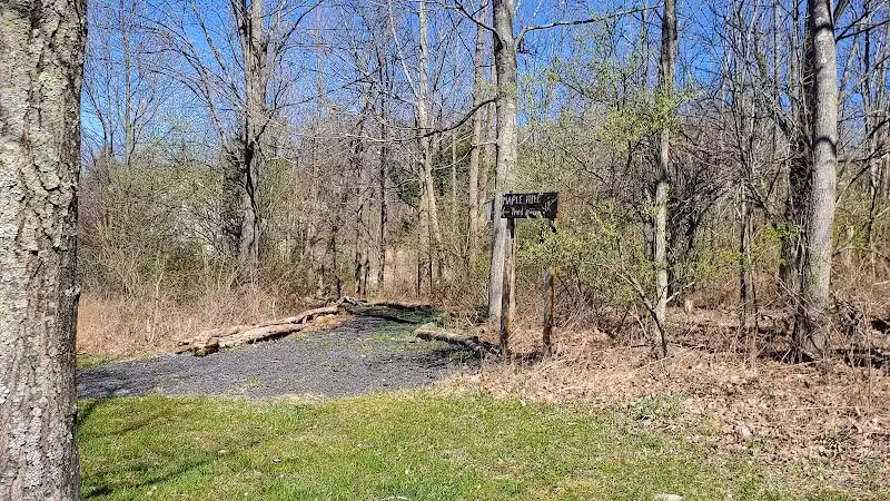 Maple Hill Park - Middletown, NY