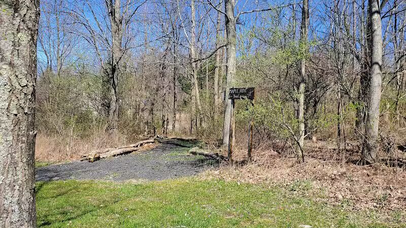 Maple Hill Park - Middletown, NY