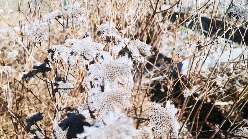 Aquidneck Land Trust's Spruce Acres Farm - Middletown, RI