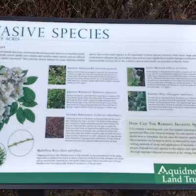 Aquidneck Land Trust's Spruce Acres Farm - Middletown, RI