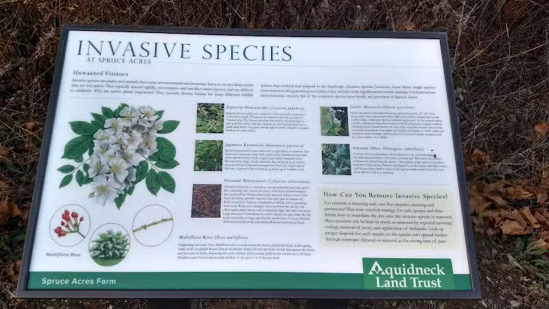 Aquidneck Land Trust's Spruce Acres Farm - Middletown, RI