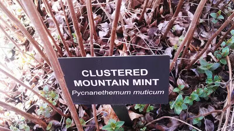 Aquidneck Land Trust's Spruce Acres Farm - Middletown, RI