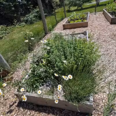 Aquidneck Land Trust's Spruce Acres Farm - Middletown, RI