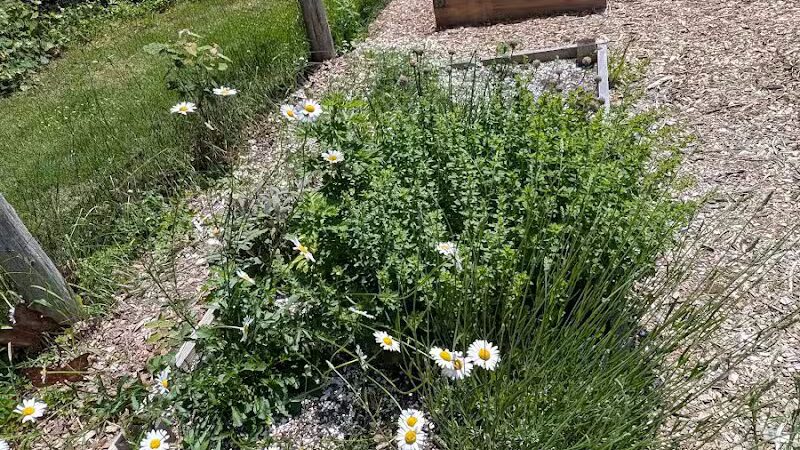 Aquidneck Land Trust's Spruce Acres Farm - Middletown, RI