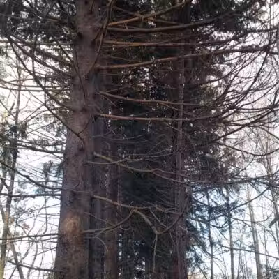 Aquidneck Land Trust's Spruce Acres Farm - Middletown, RI