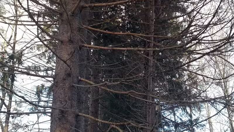 Aquidneck Land Trust's Spruce Acres Farm - Middletown, RI