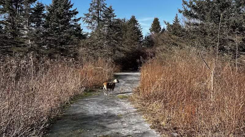 Aquidneck Land Trust's Spruce Acres Farm - Middletown, RI