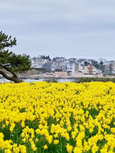 Atlantic Beach Waterfront Public Access Point - Middletown, RI