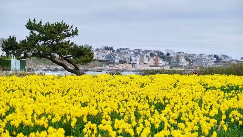 Atlantic Beach Waterfront Public Access Point - Middletown, RI
