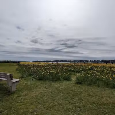 Atlantic Beach Waterfront Public Access Point - Middletown, RI