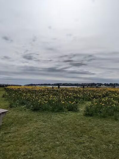 Atlantic Beach Waterfront Public Access Point - Middletown, RI
