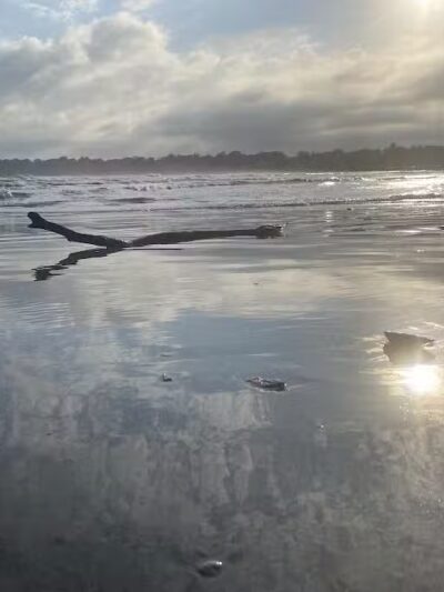 Atlantic Beach Waterfront Public Access Point - Middletown, RI