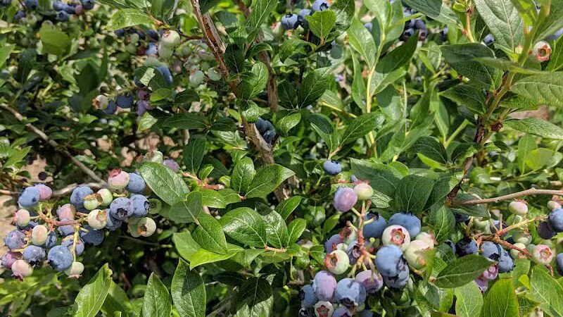 Howland Park - Middletown, RI