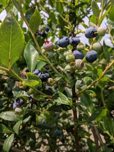 Howland Park - Middletown, RI