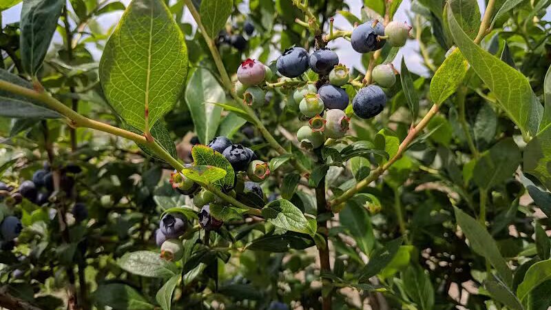 Howland Park - Middletown, RI