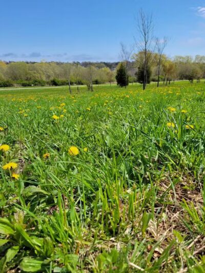 Middletown Valley - Middletown, RI